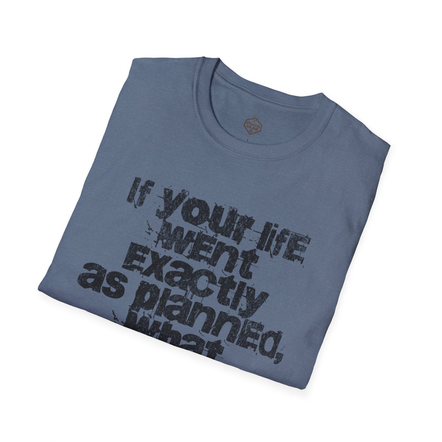 If Your Life Went Exactly As Planned