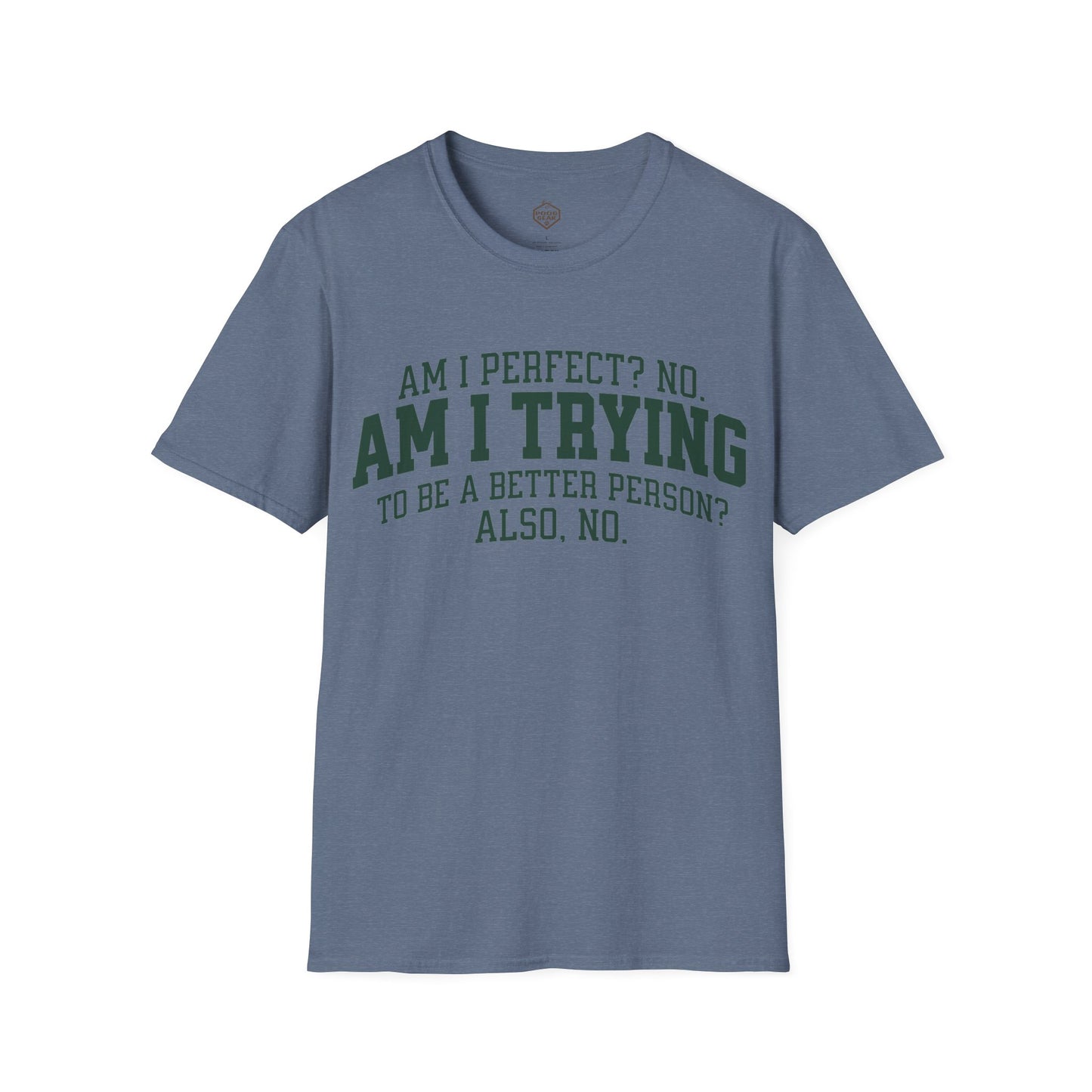 Am I Perfect? No. Am I Trying to be a Better Person? Also No.