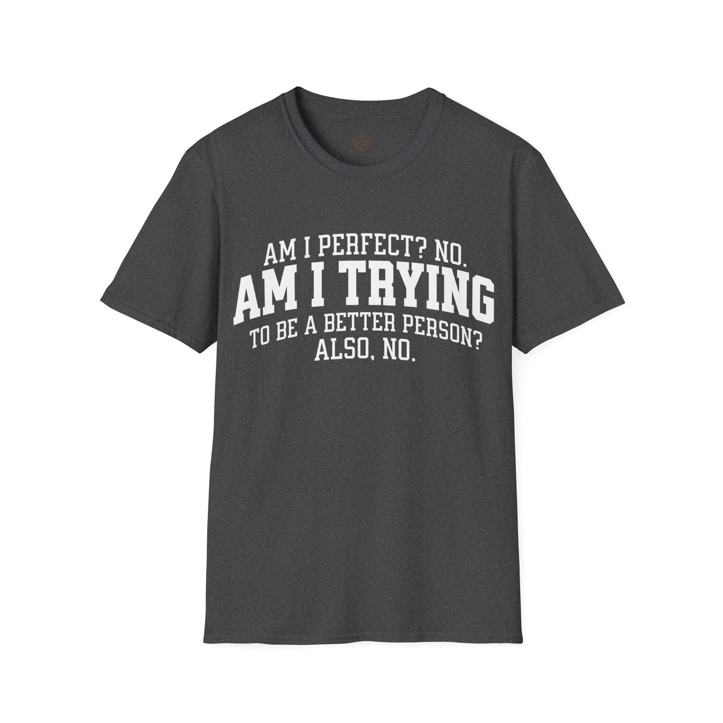 Am I Perfect? No. Am I Trying to be a Better Person? Also No.