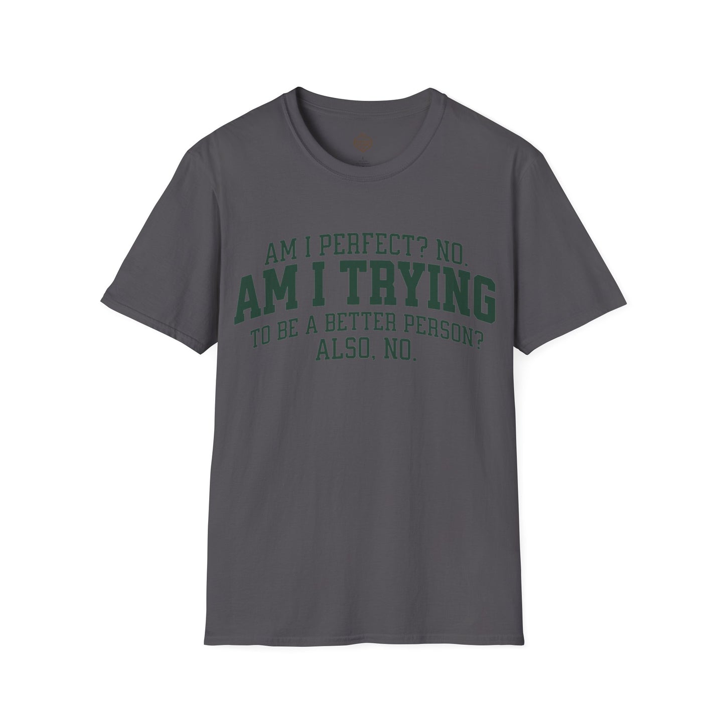 Am I Perfect? No. Am I Trying to be a Better Person? Also No.
